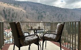 Colette Studio Belleview