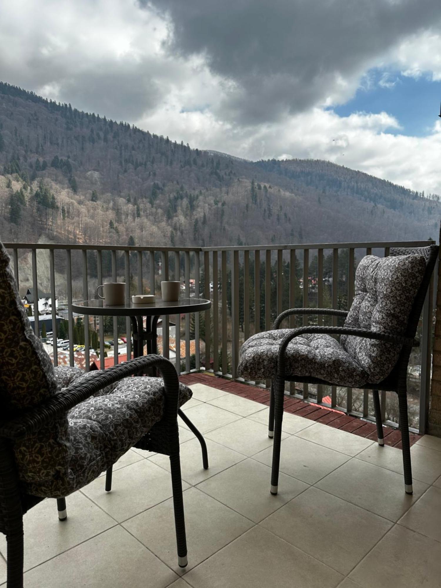 Colette Studio Belleview Sinaia Exterior foto