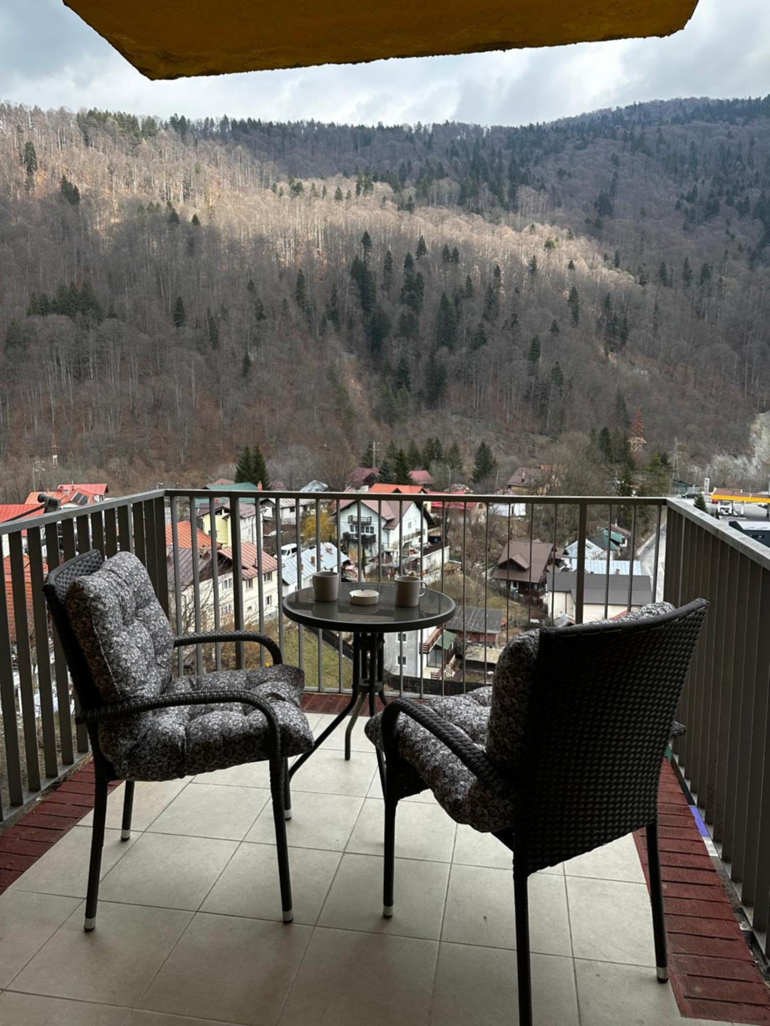 Colette Studio Belleview Sinaia Exterior foto